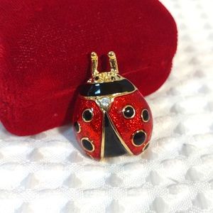 Ladybug Pin